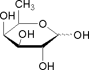 6-脱氧-l-半乳糖,d-岩藻糖